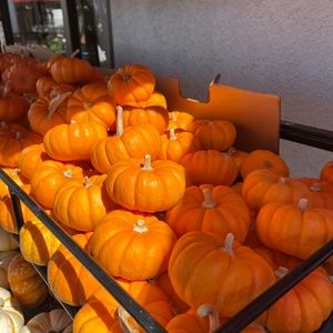 Meet your Posher, Claire